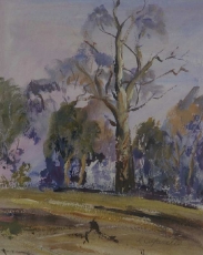 IMGP0106cropped resized